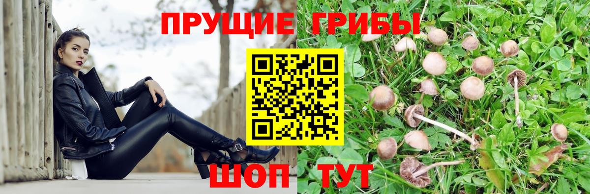 Псилоцибиновые грибы Magic Shrooms  Вход с VPN  Сокол 