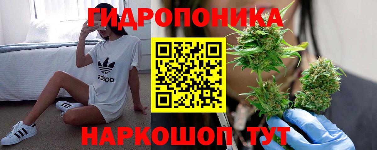 Конопля White Widow  Конопля VHQ  МАРИХУАНА AK-47  Вход с VPN  Сокол 